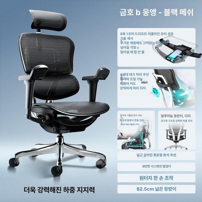 Ergohuman B이글 인체공학 사무용 의자, 회전식 높이 조절 팔걸이, 블랙